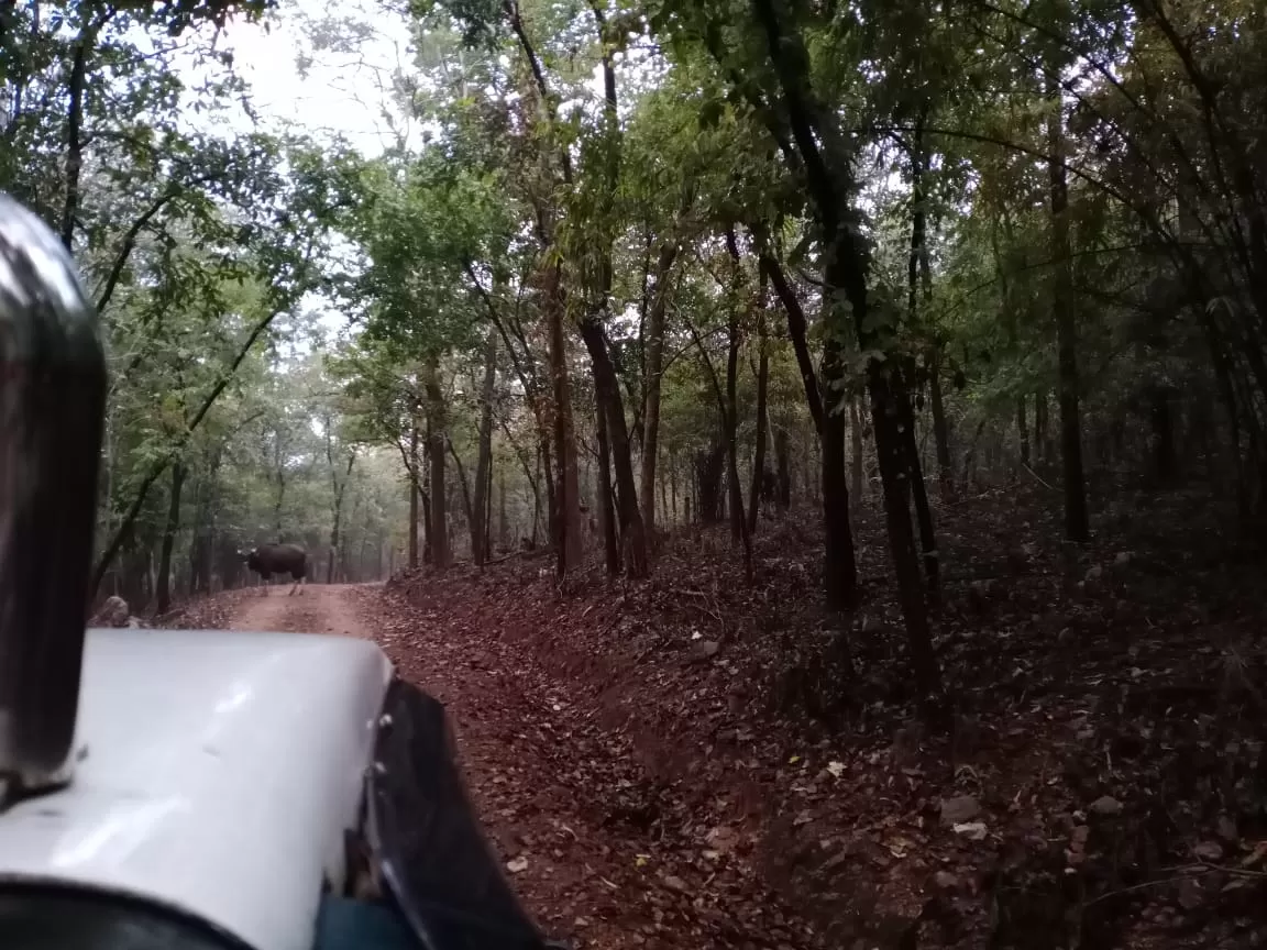 Photo of Debrigarh Wildlife Sanctuary By Wanderlust Ashok