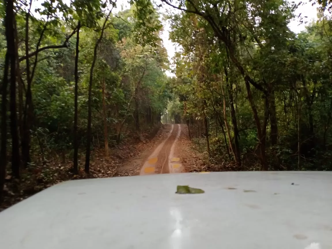 Photo of Debrigarh Wildlife Sanctuary By Wanderlust Ashok