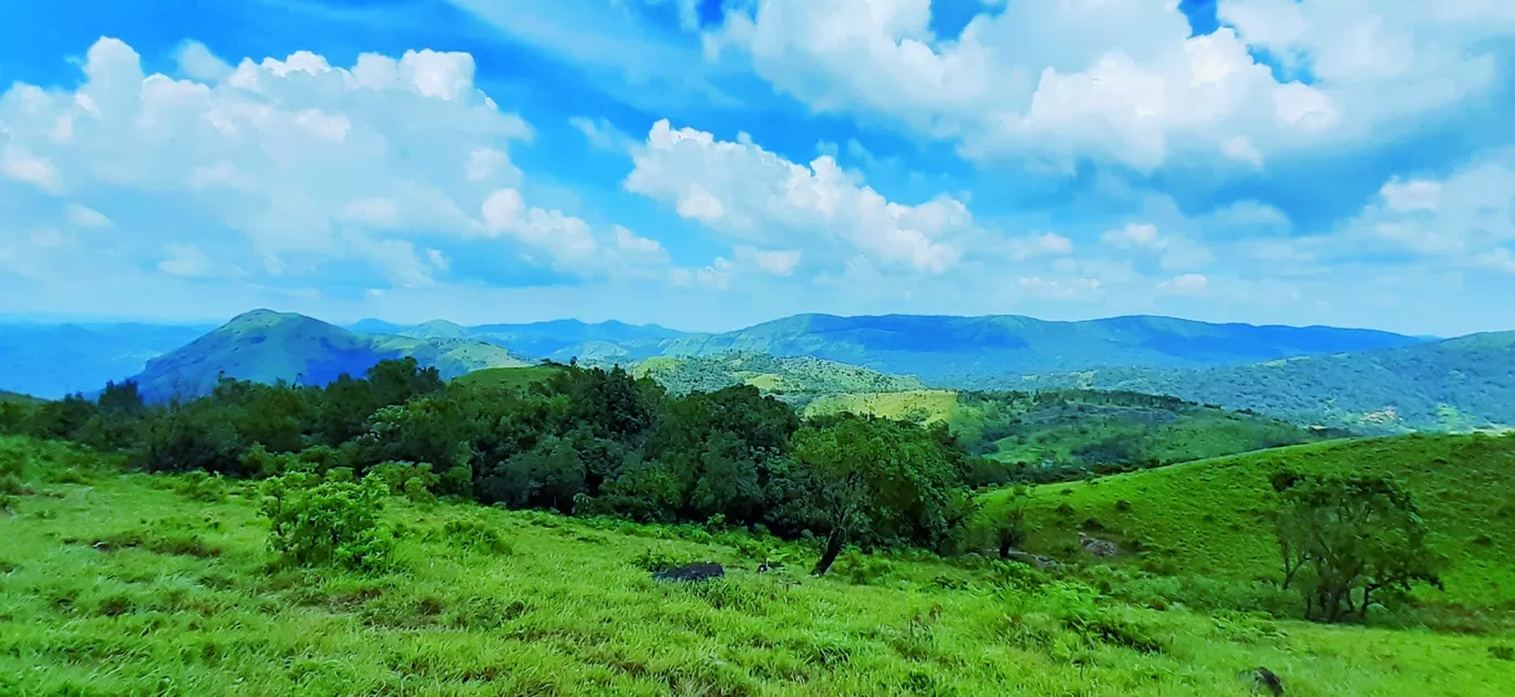 Photo of Pushpagiri By Naresh N