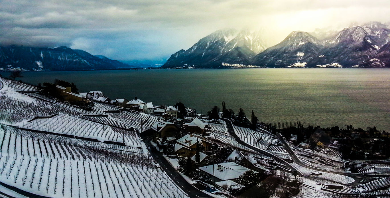 Photo of Why Lausanne should be your next Swiss vacation: In pictures! By Nisha Dalal