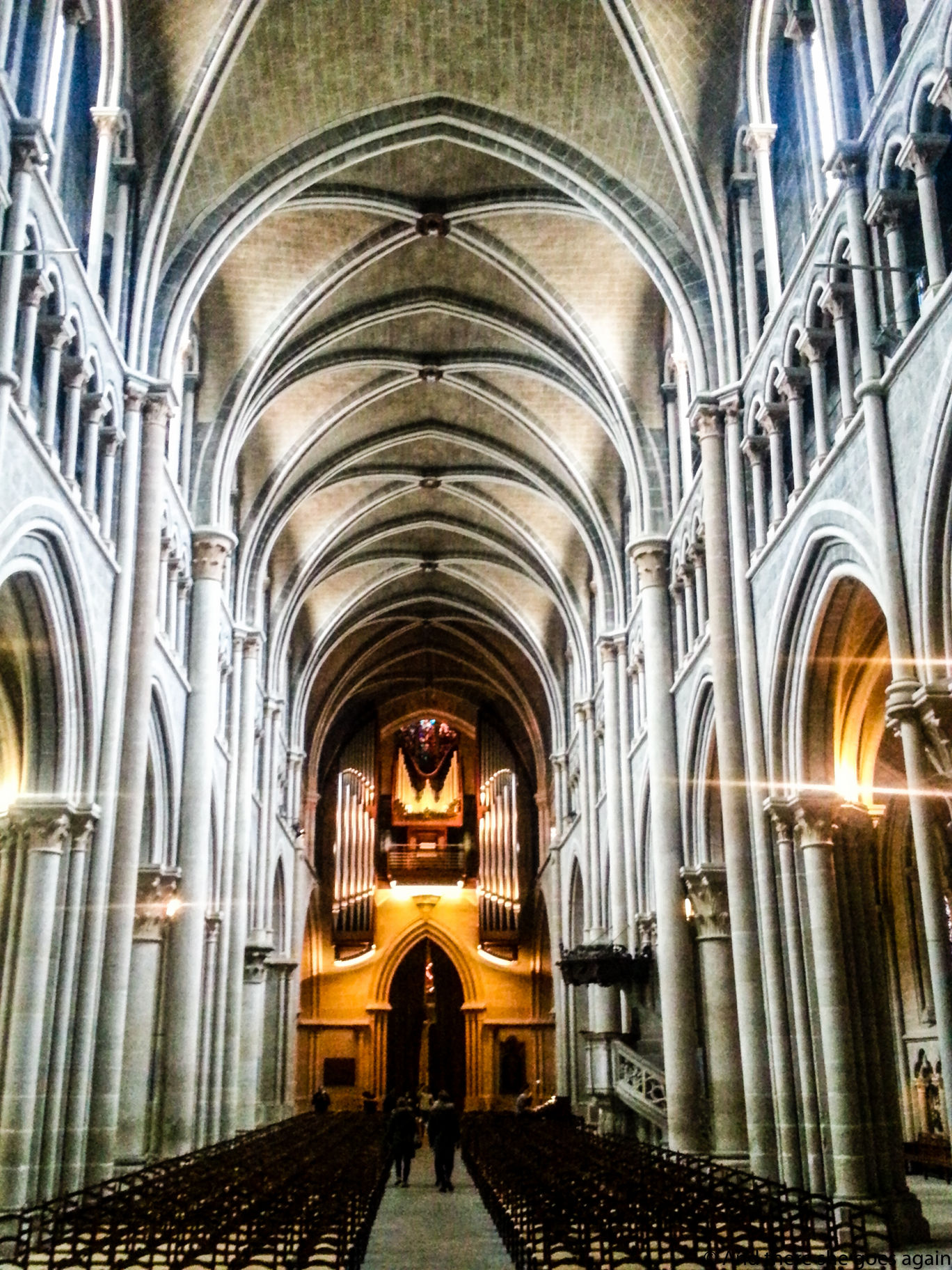 Photo of Why Lausanne should be your next Swiss vacation: In pictures! By Nisha Dalal