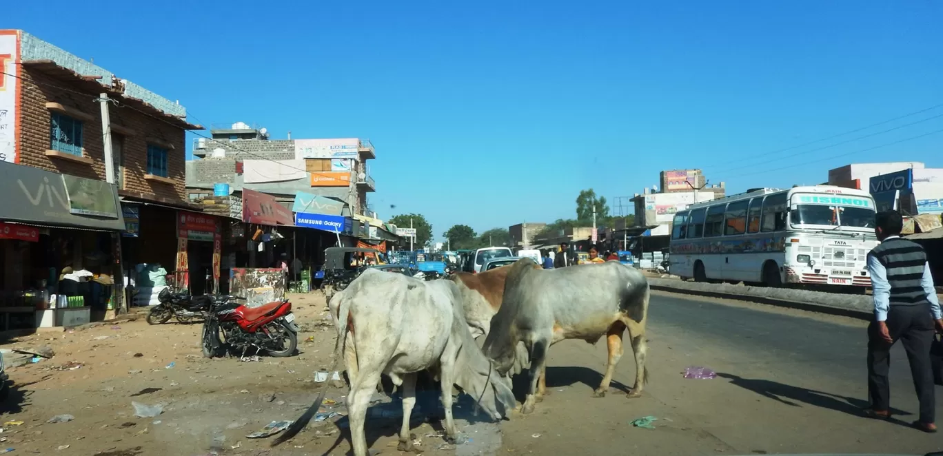 Photo of Rajasthan By Pushpa Kurup