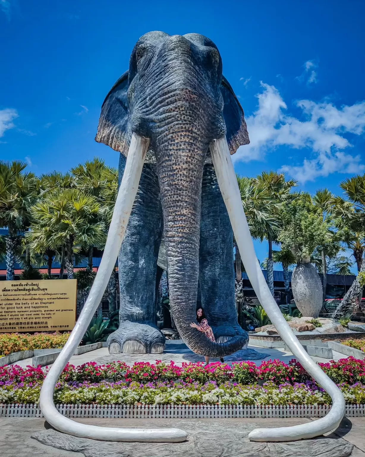 Photo of Nongnooch Tropical Garden Pattaya By Pamela Mukherjee