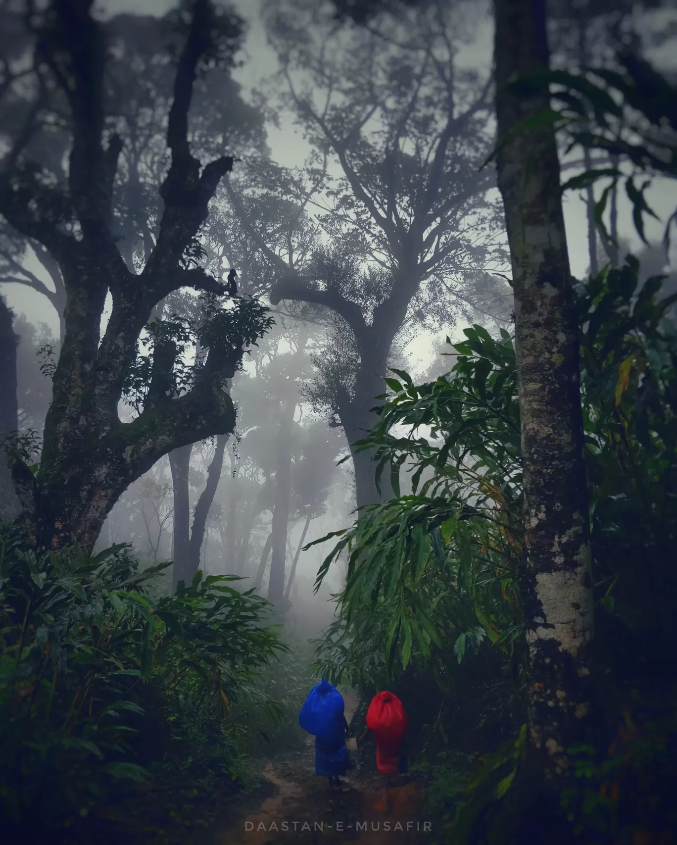 Photo of India By Ambika Bhardwaj