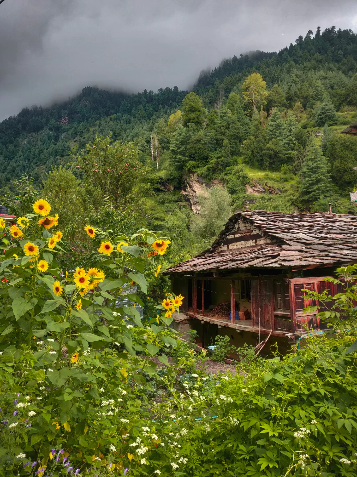 Photo of Himachal Pradesh By Ambika Bhardwaj