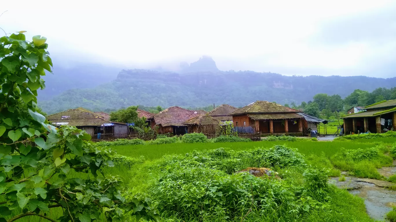 Photo of Bhimashankar By MUhammed Unais P (TheIndianTrails)
