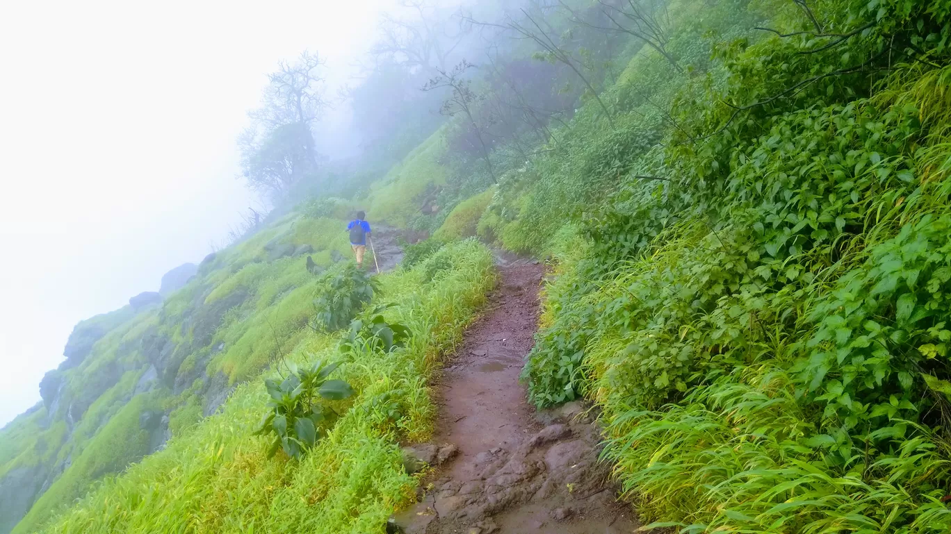 Photo of Bhimashankar By MUhammed Unais P (TheIndianTrails)