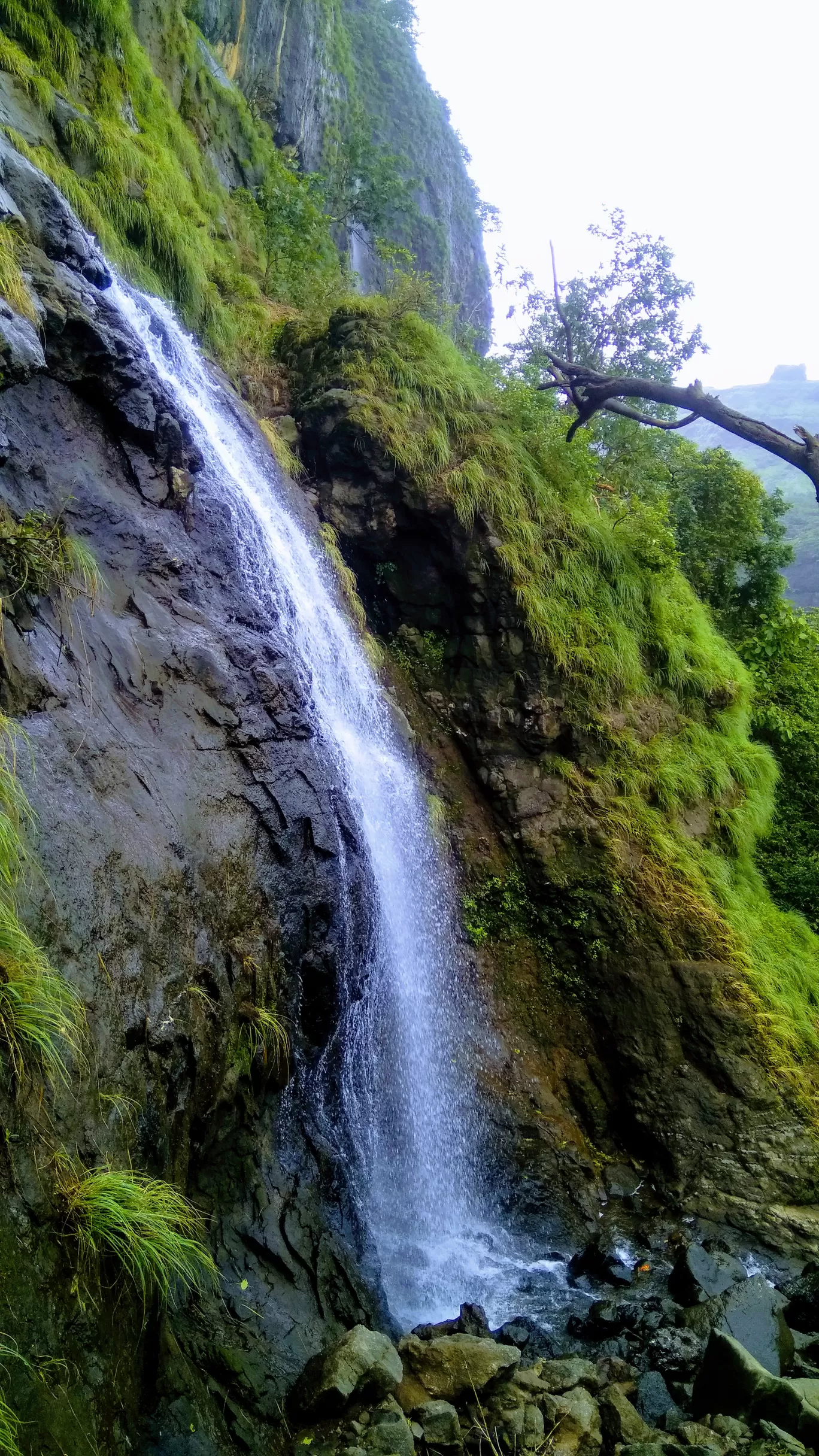 Photo of Bhimashankar By MUhammed Unais P (TheIndianTrails)