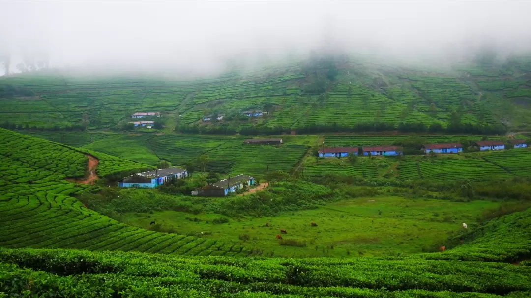 Photo of Meghamalai By MUhammed Unais P (TheIndianTrails)