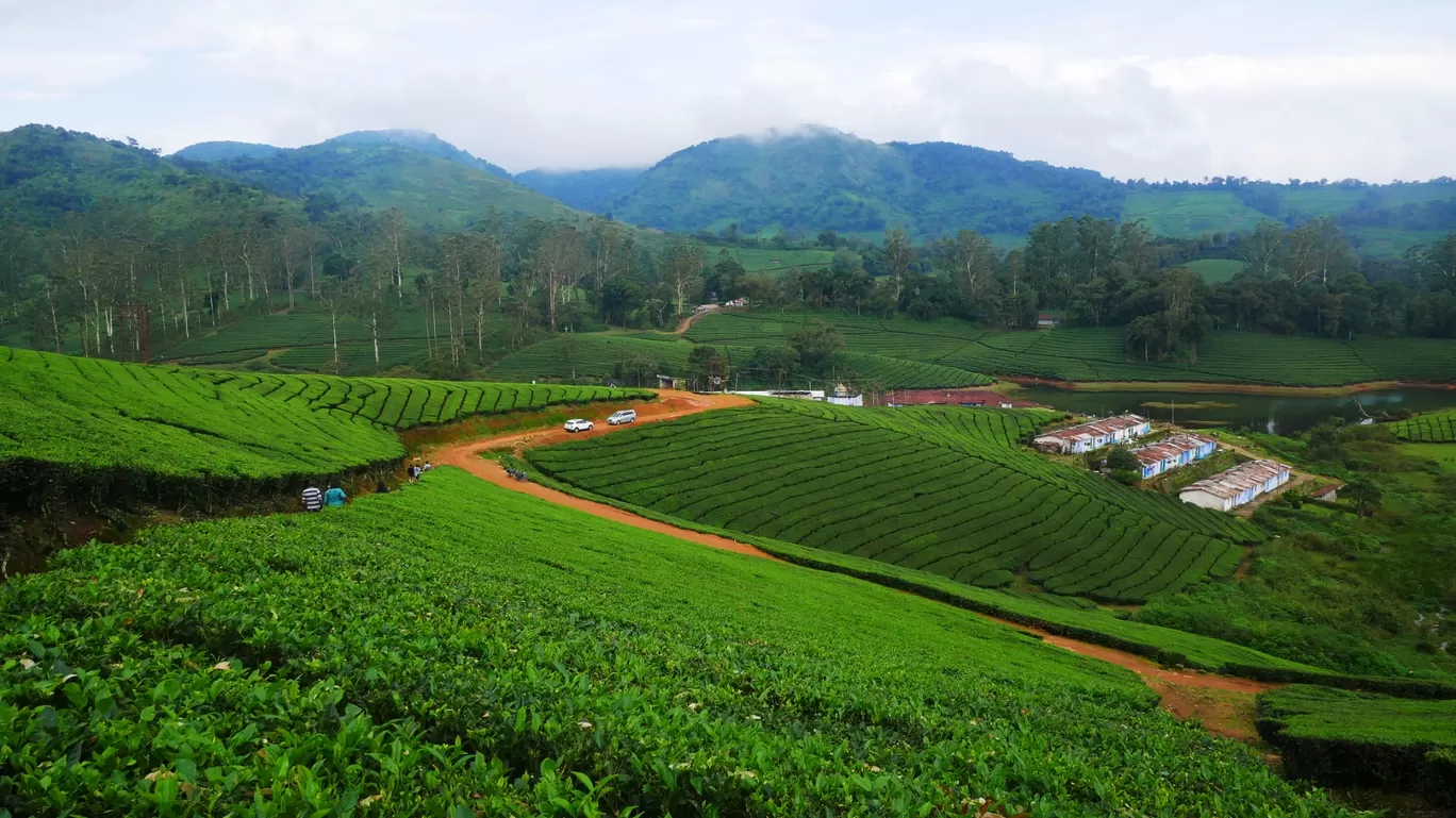 Photo of Meghamalai By MUhammed Unais P (TheIndianTrails)