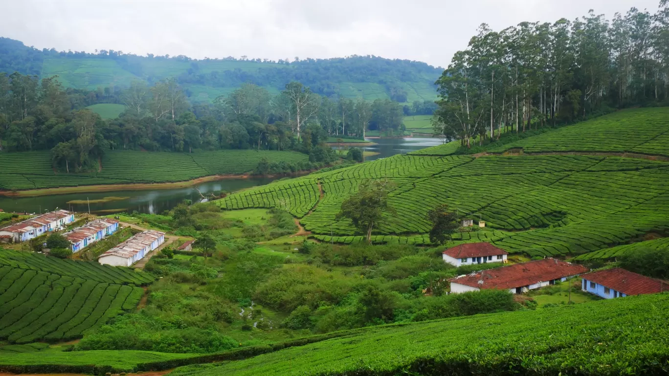 Photo of Meghamalai By MUhammed Unais P (TheIndianTrails)