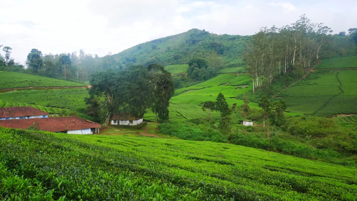 Photo of Meghamalai By MUhammed Unais P (TheIndianTrails)