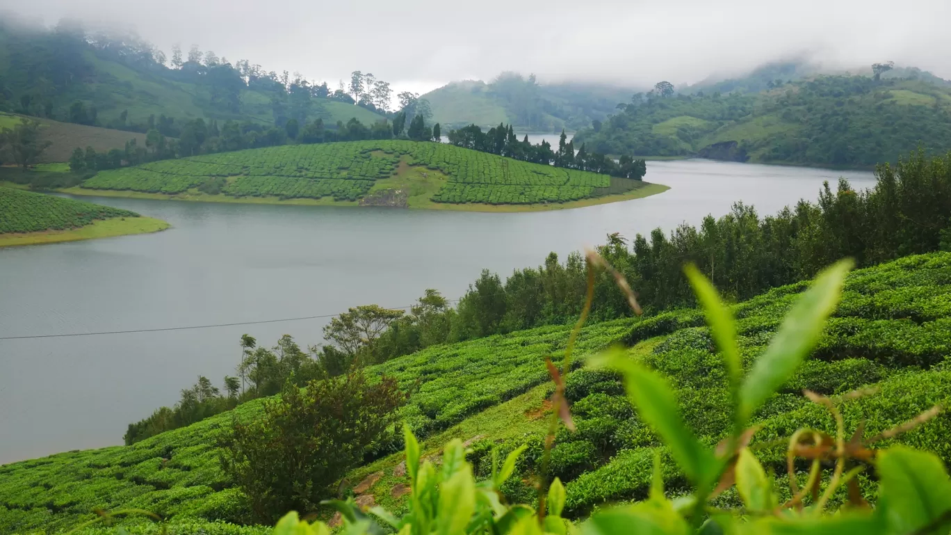 Photo of Meghamalai By MUhammed Unais P (TheIndianTrails)