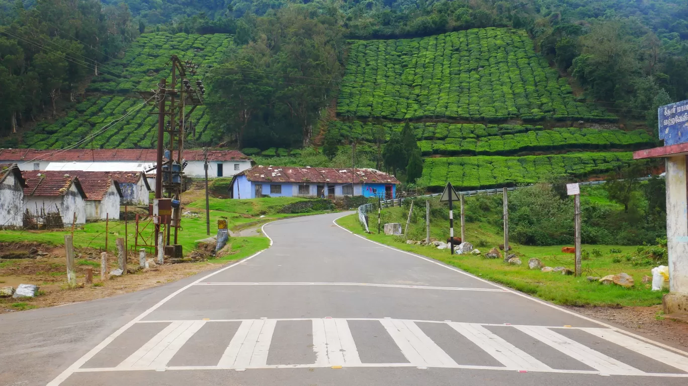 Photo of Meghamalai By MUhammed Unais P (TheIndianTrails)