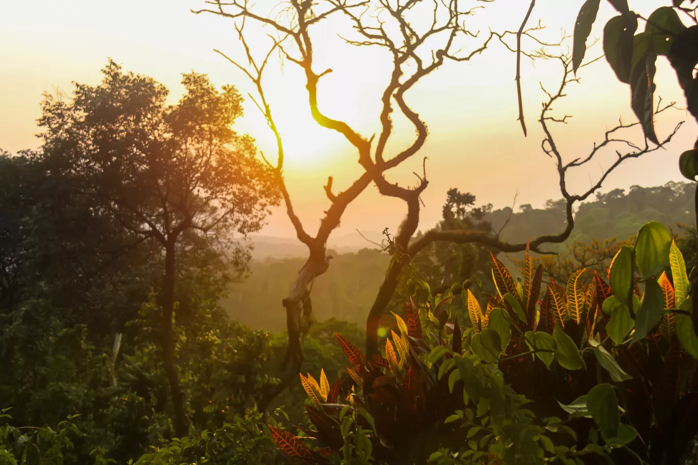 Photo of Madikeri By Kshitij Satam