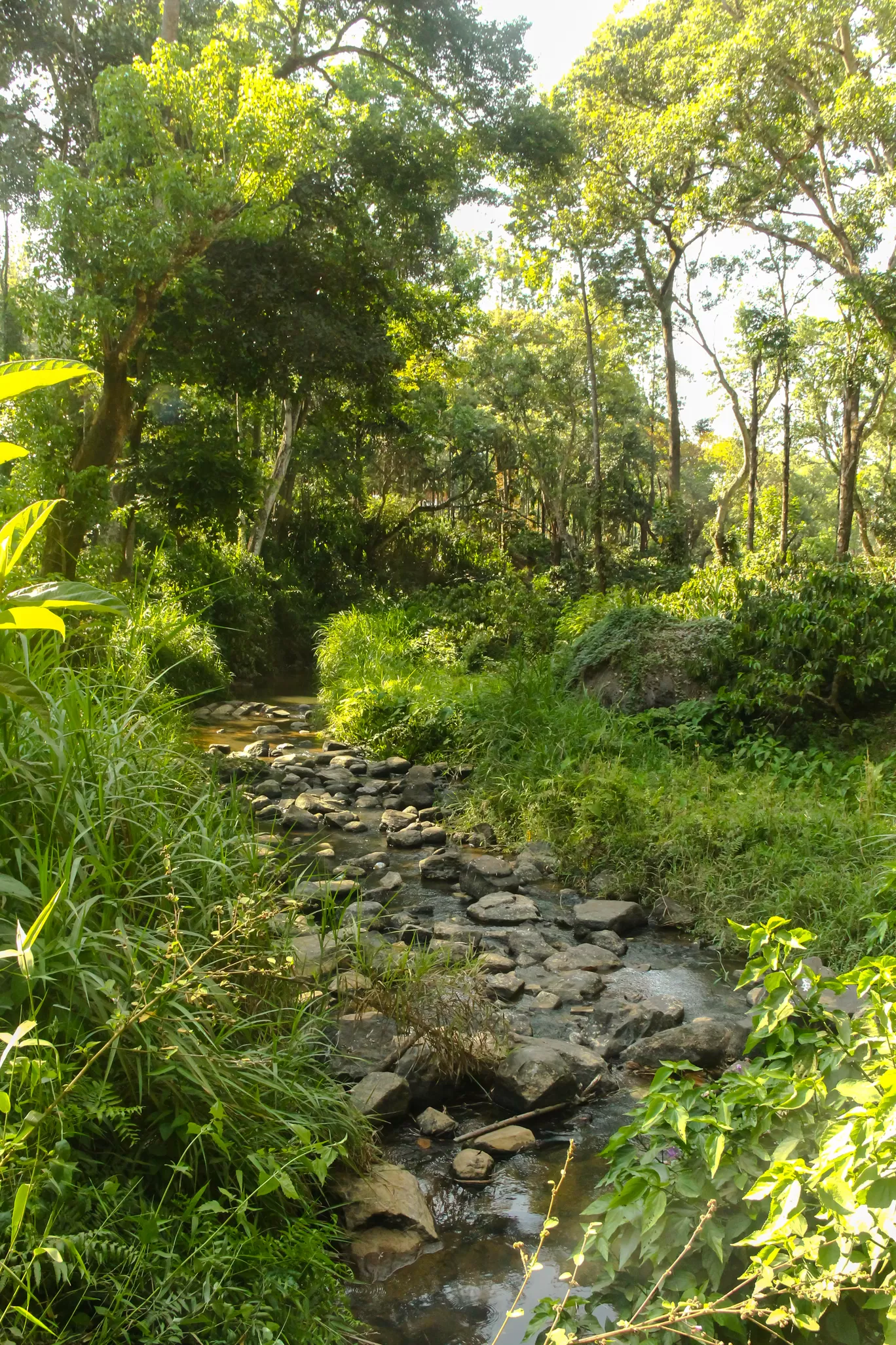 Photo of Madikeri By Kshitij Satam