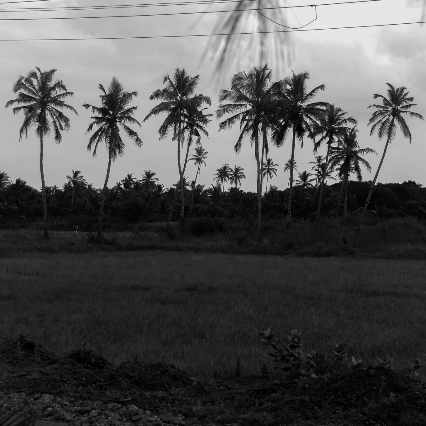 Photo of Goa By Kshitij Satam