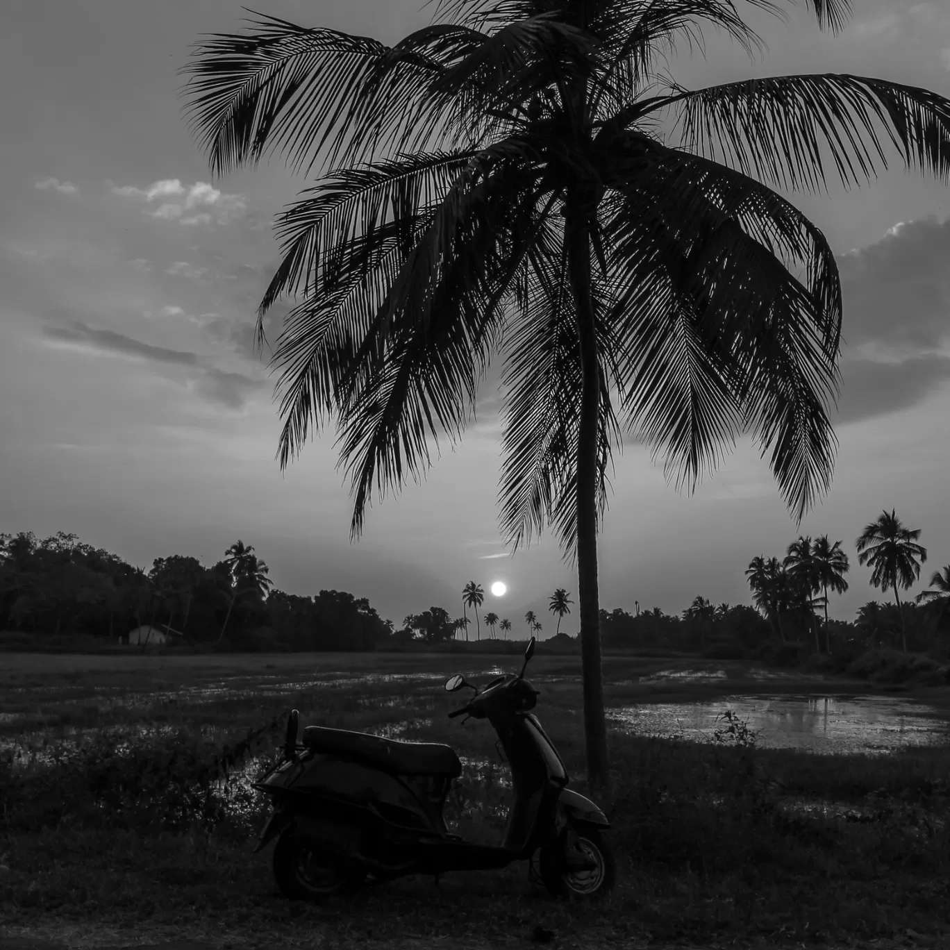 Photo of Goa By Kshitij Satam