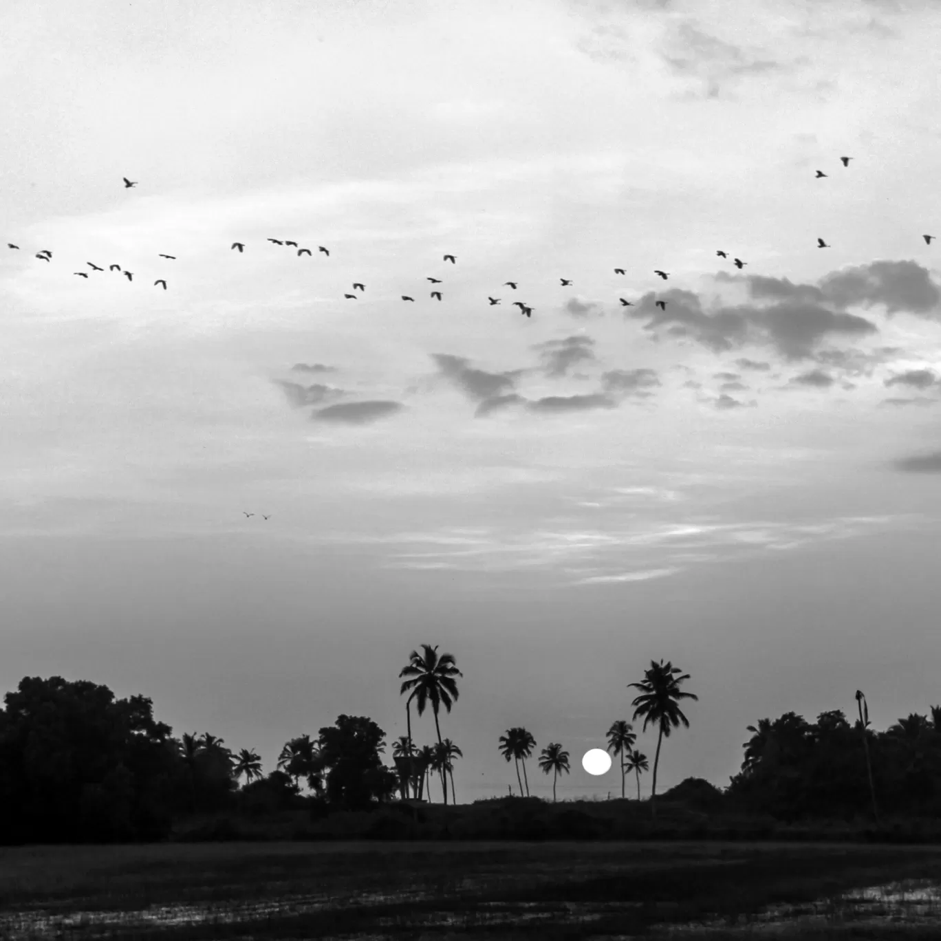 Photo of Goa By Kshitij Satam