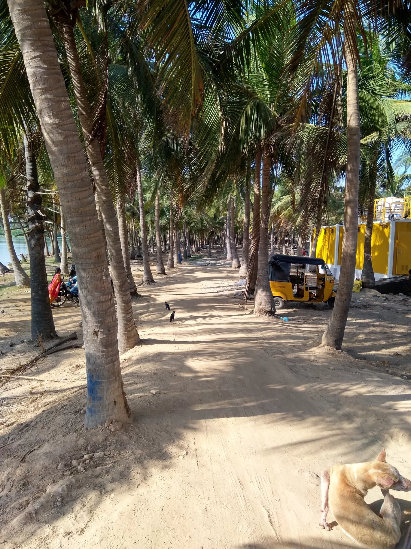 Photo of Pondicherry By sumedha das