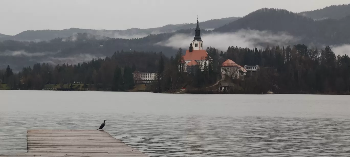 Photo of Bled By Amit Kumar