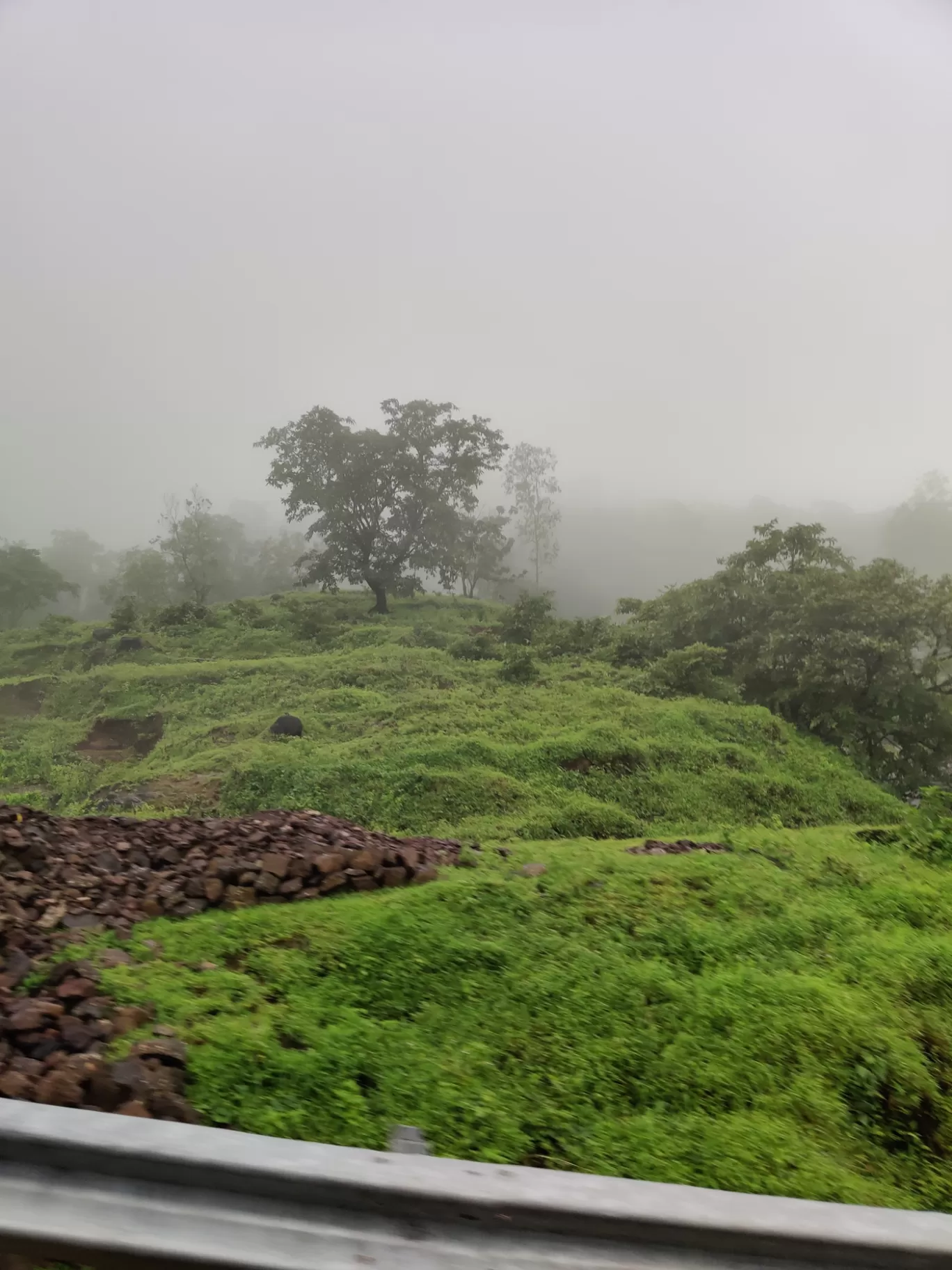 Photo of Matheran By Anugrah Gupta