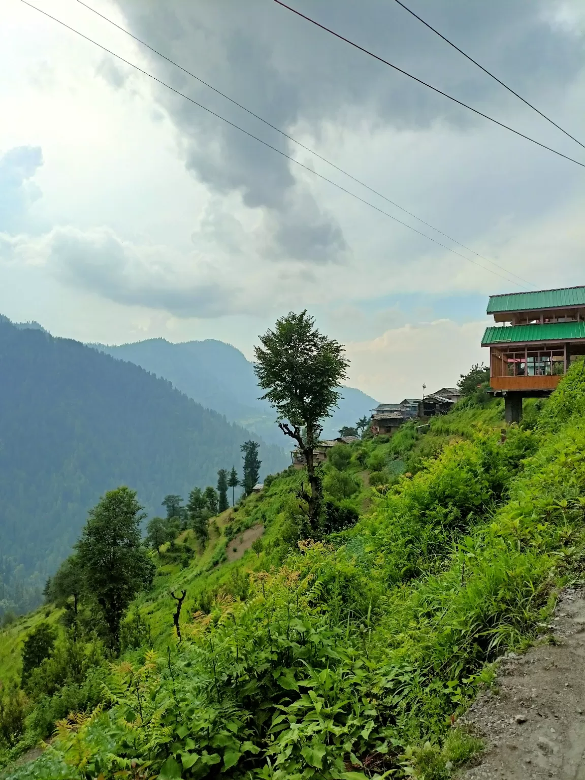 Photo of Jibhi By Ashish Bhardwaj