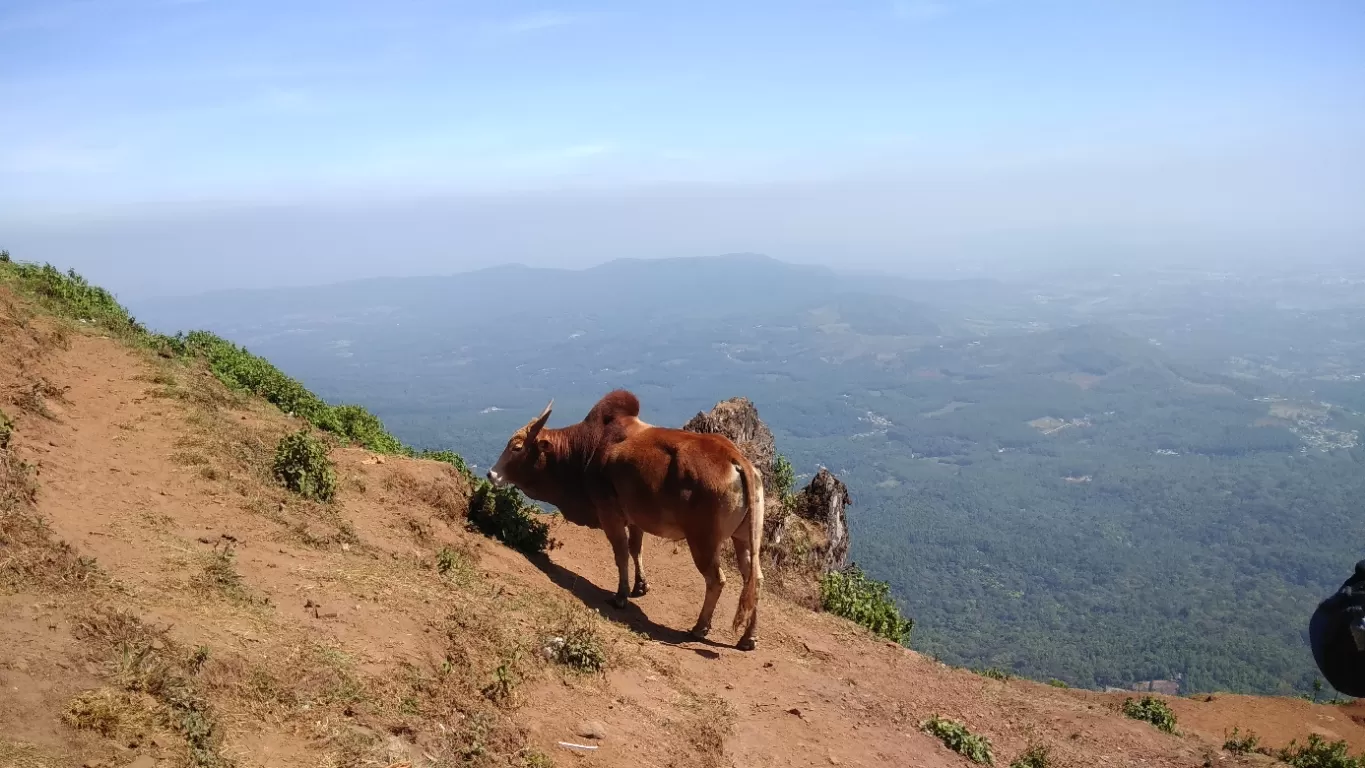 Photo of Mullayanagiri Peak By Deeksha Tiwari