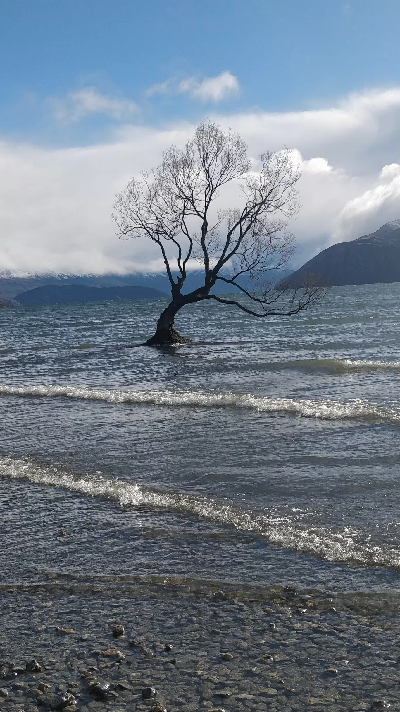 Photo of Wanaka By Meenakshi Sharma