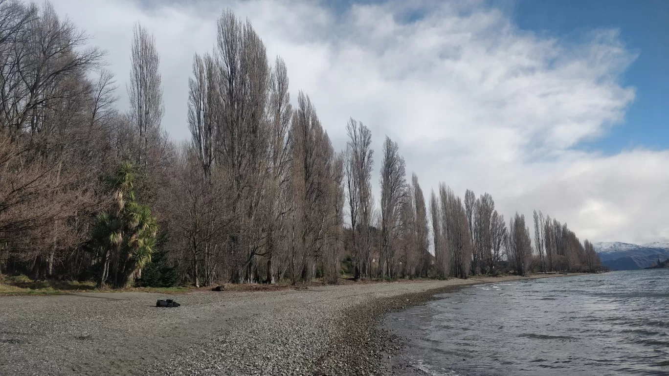 Photo of Wanaka By Meenakshi Sharma