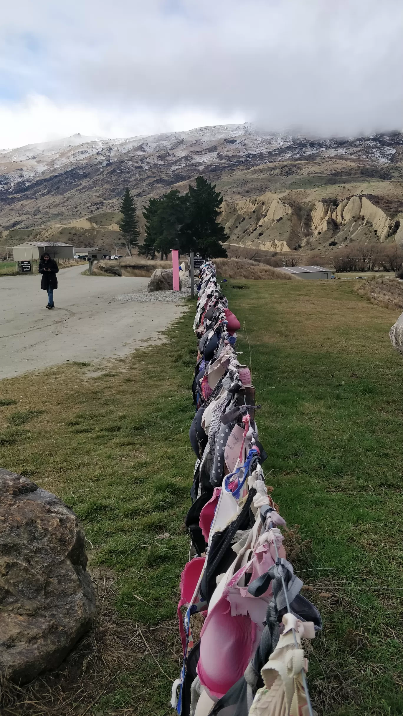 Photo of Wanaka By Meenakshi Sharma