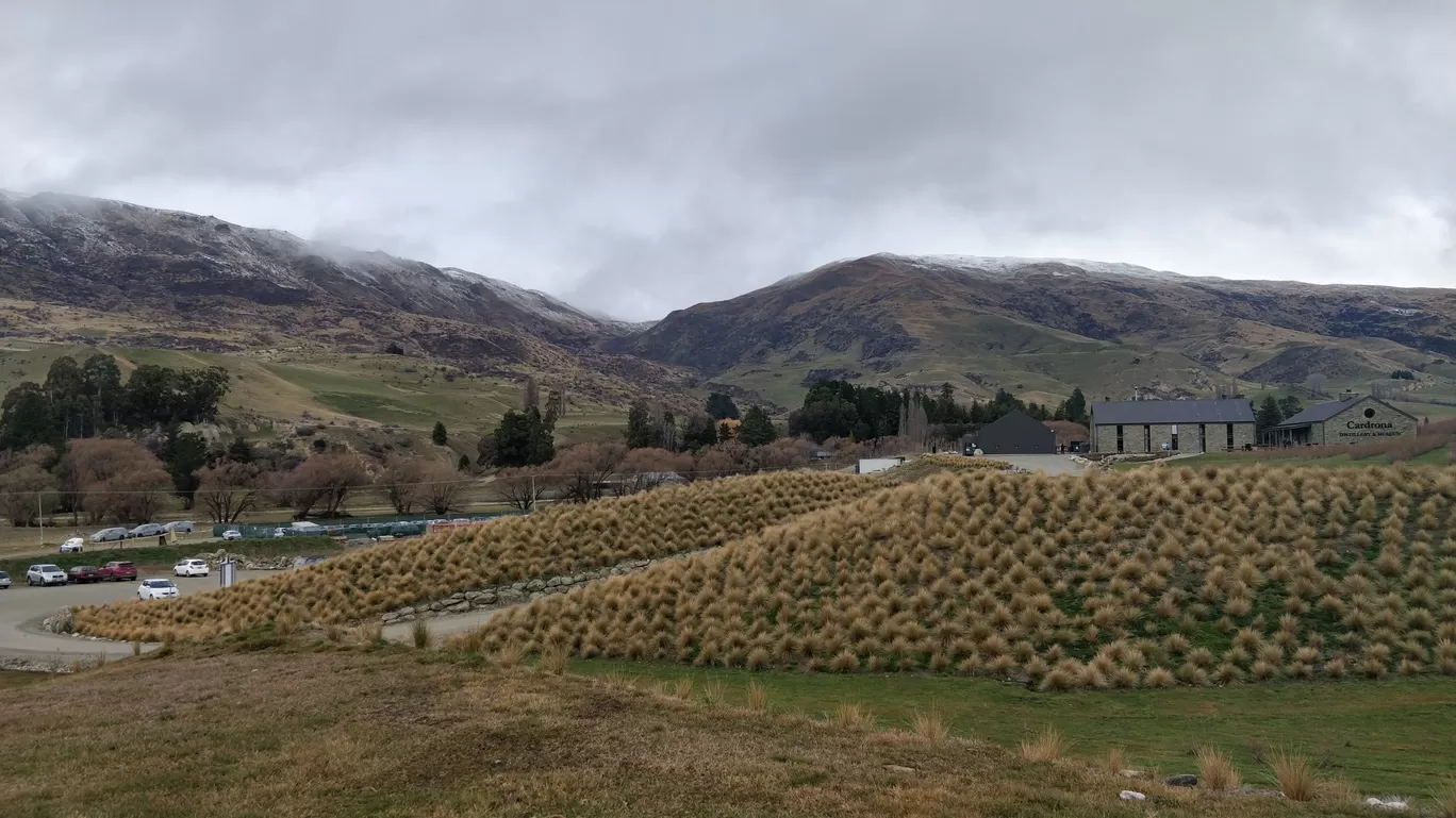 Photo of Wanaka By Meenakshi Sharma