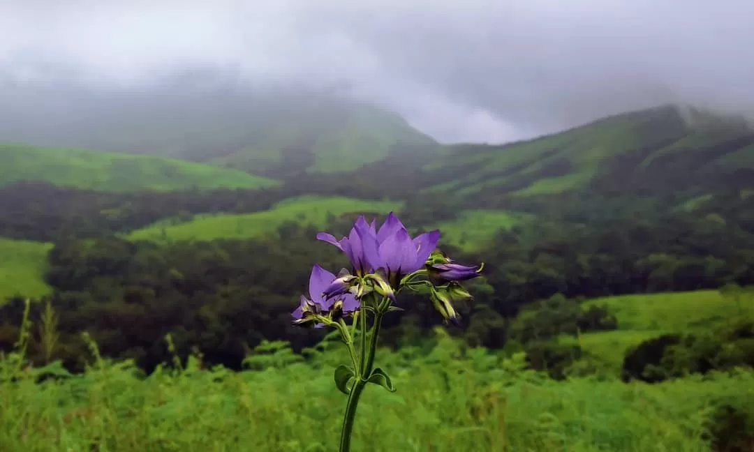 Photo of Kuduremukha By Akshay GowDa