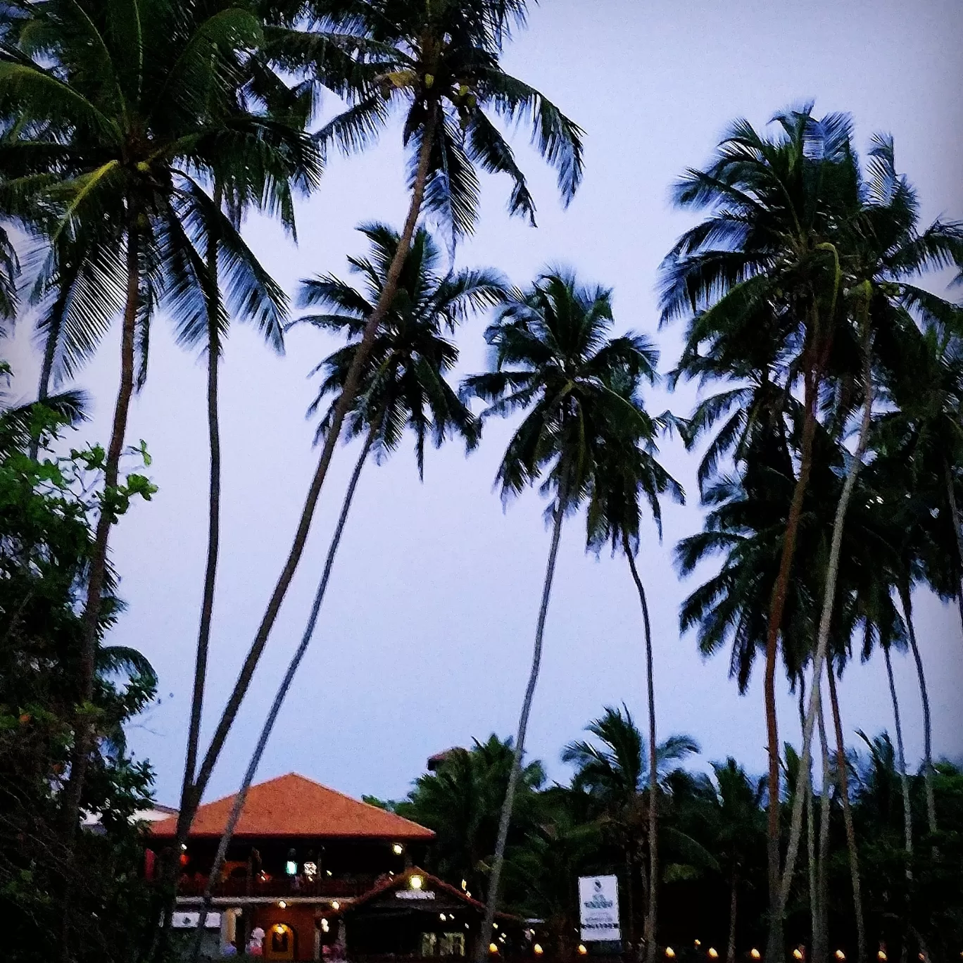 Photo of Sri Lanka By Shruti Jain