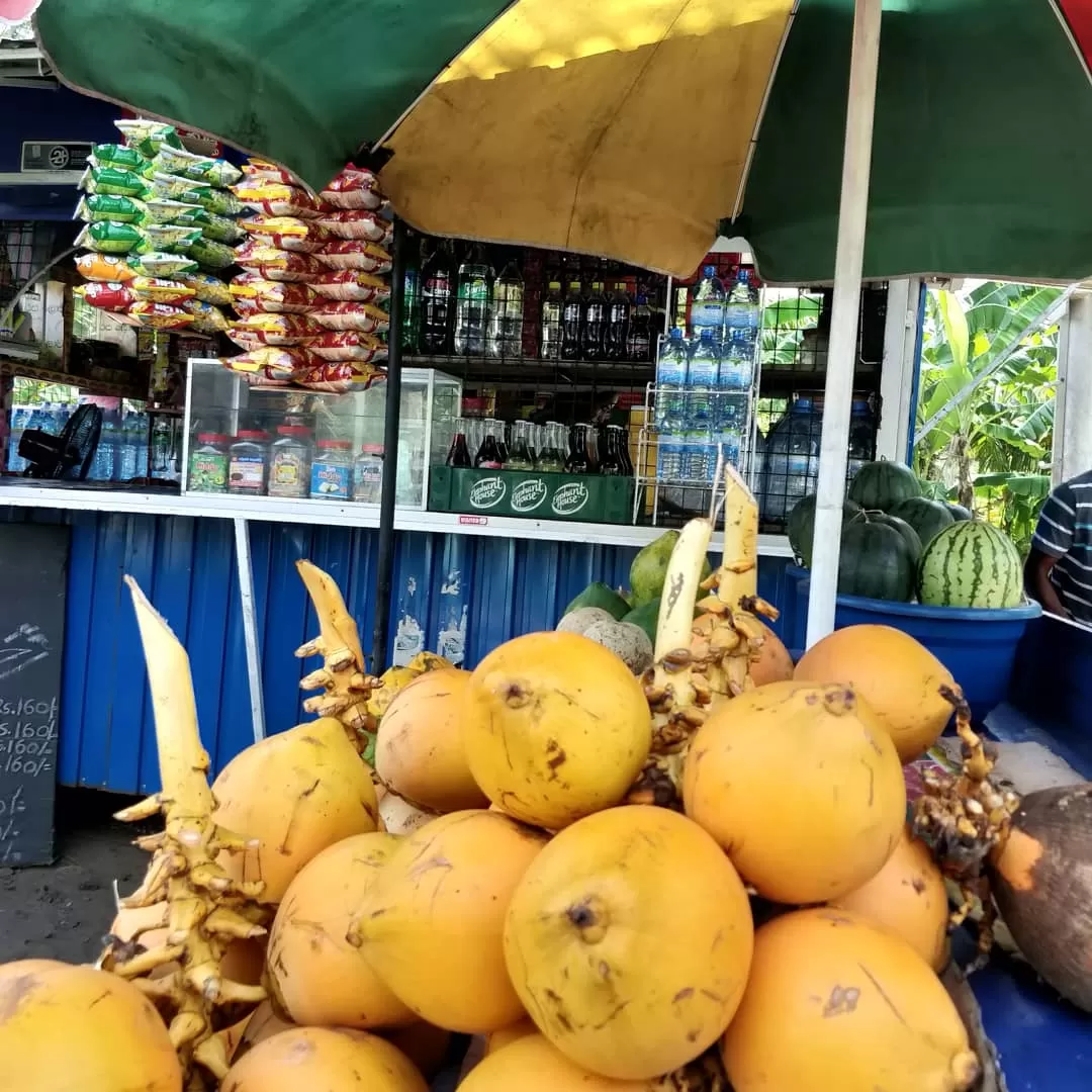 Photo of Sri Lanka By Shruti Jain