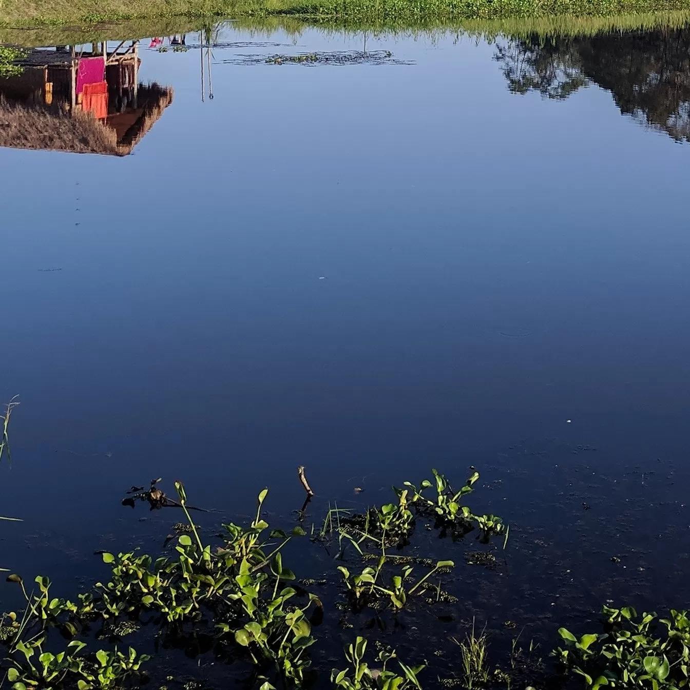 Photo of Assam By Shruti Jain