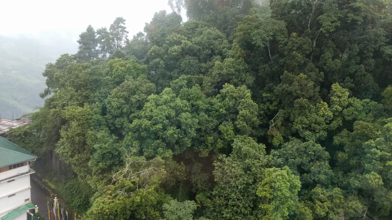 Photo of Gangtok By Shruti Jain