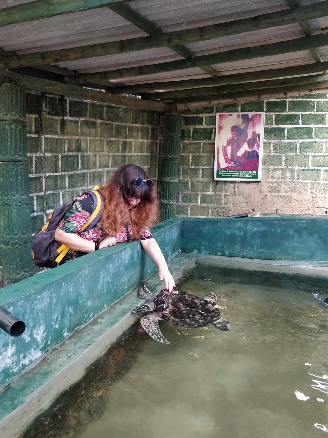 Photo of Sea Turtle Hatchery By Shruti Jain