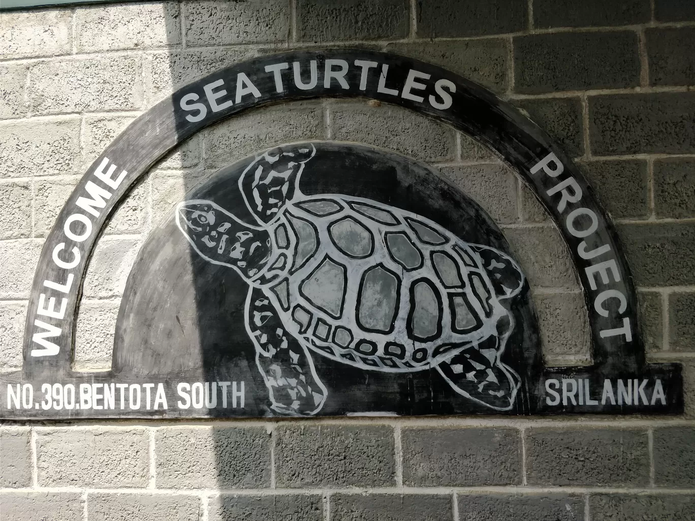 Photo of Sea Turtle Hatchery By Shruti Jain