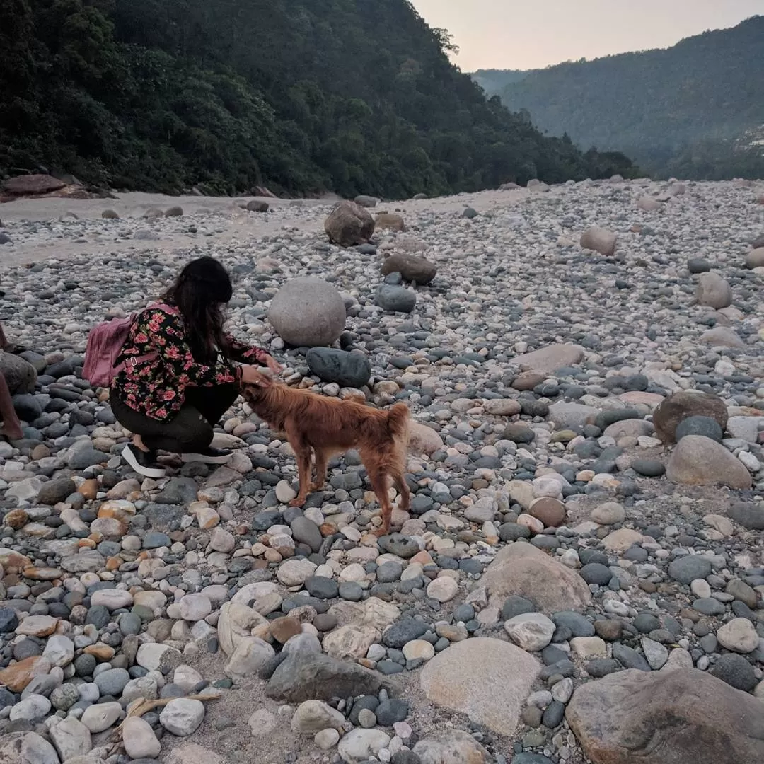 Photo of India By Shruti Jain