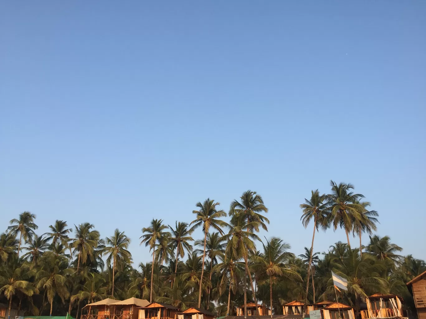 Photo of Palolem Beach By Anamica Das