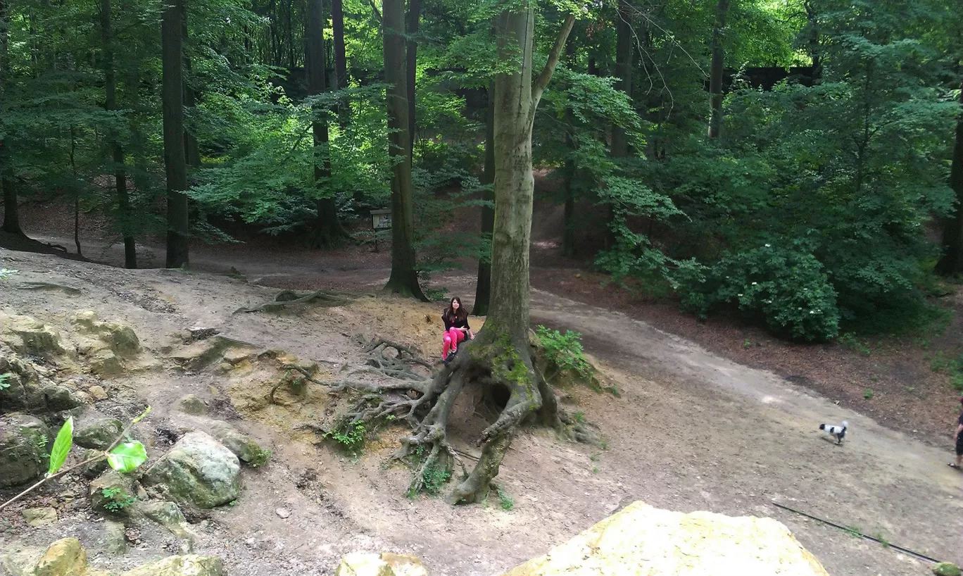 Photo of Obora Hvězda By Lenka Tučková