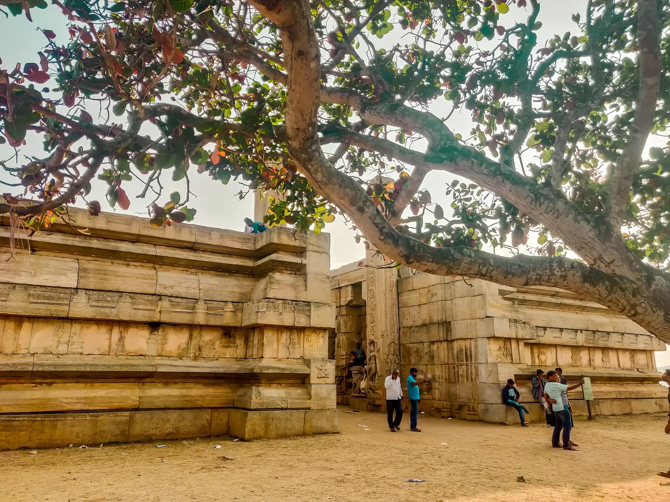 Photo of Raya Gopura By Mamtha Ramachandra