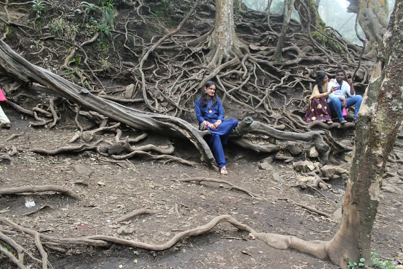 Photo of Kodaikanal By neha singh Bhadauria