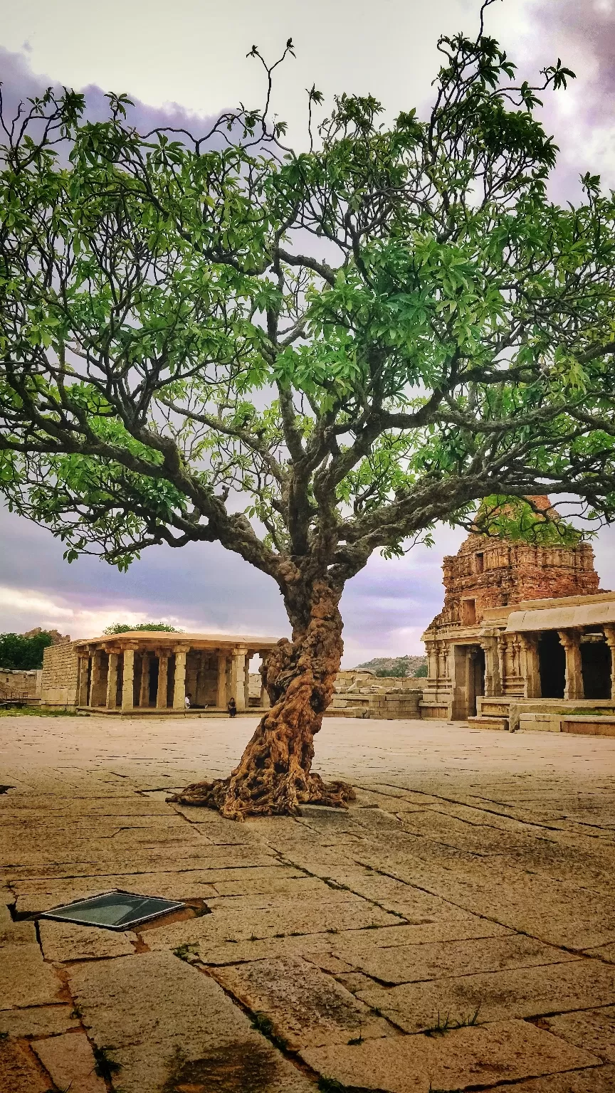 Photo of Hampi By Sandhya Dev