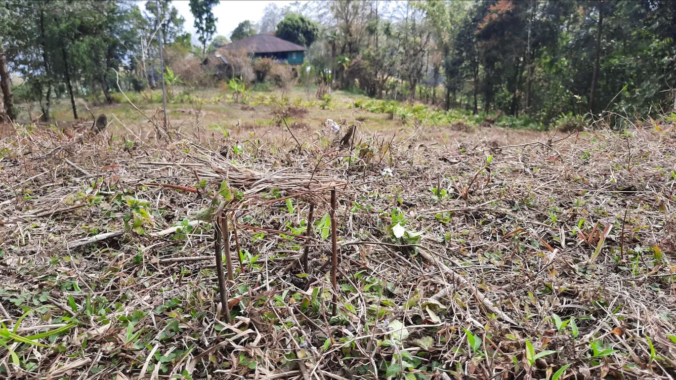 Photo of Pedong By Sweta Tripathi