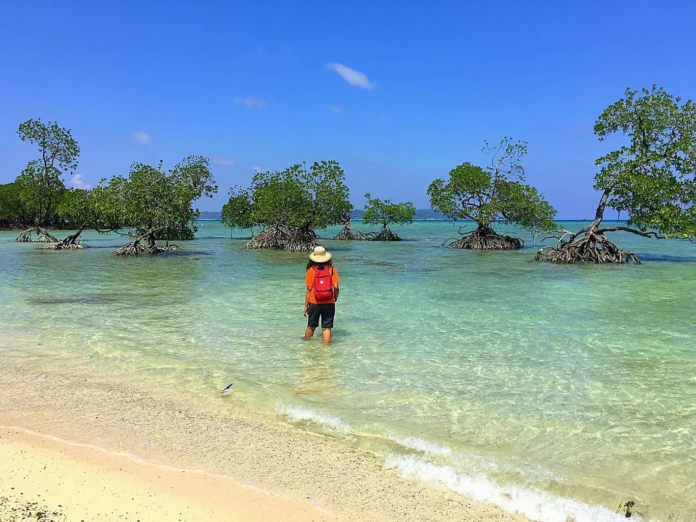 Photo of Andaman Islands By Life Outside Cubicle (Shruthi B P)