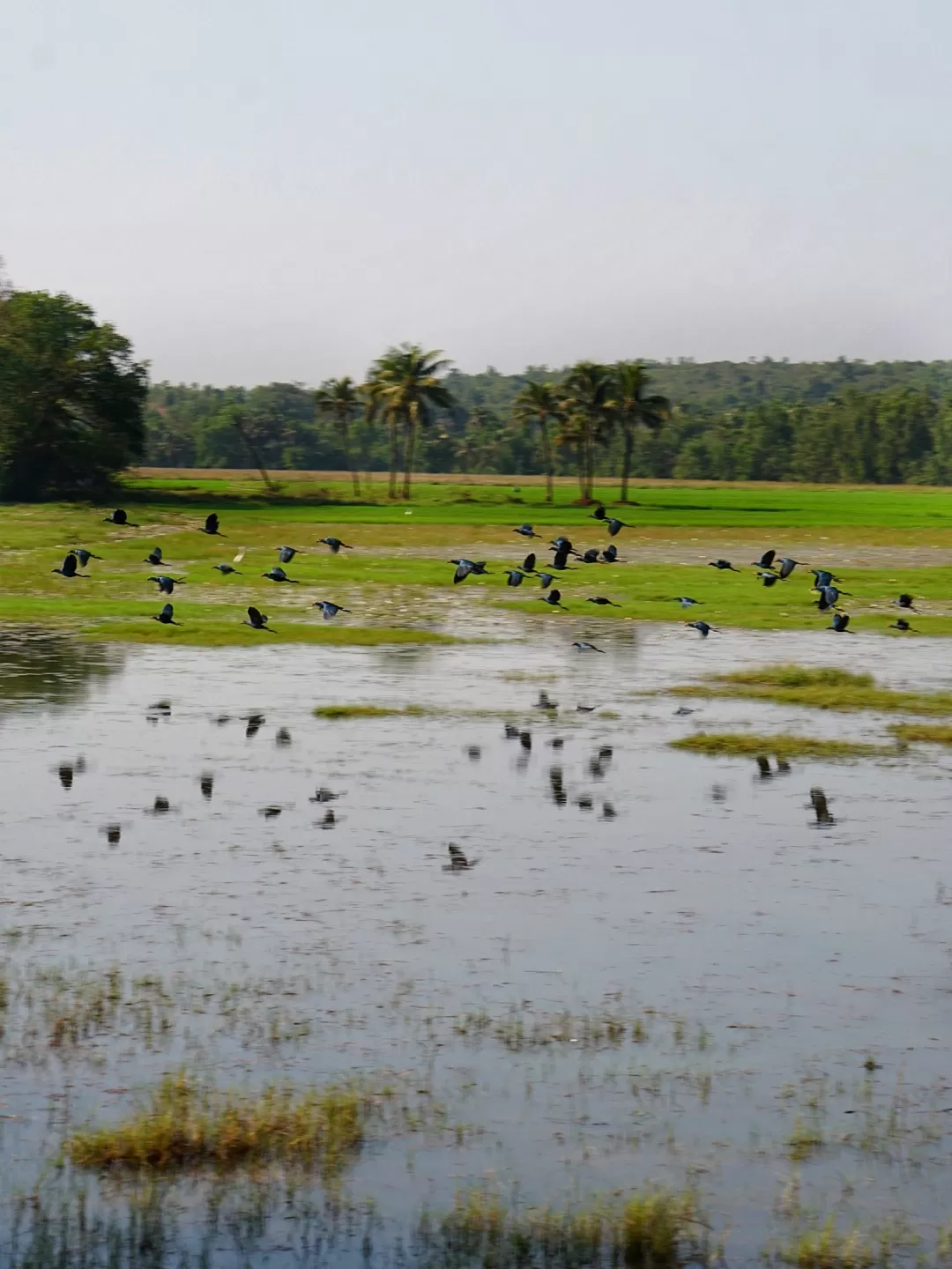 Photo of Goa By Life Outside Cubicle (Shruthi B P)