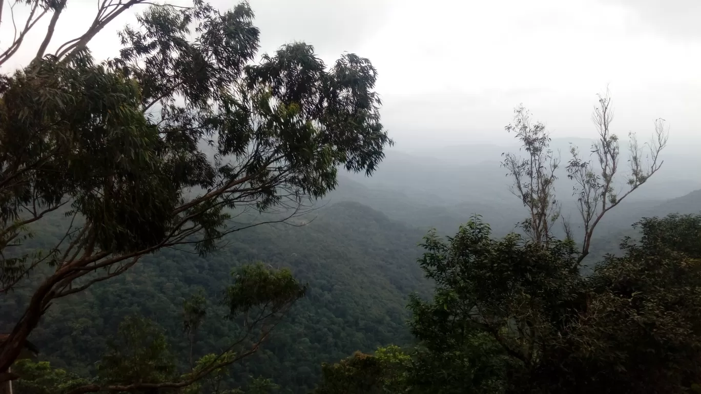 Photo of Ponmudi Hill Station By wandering keralite