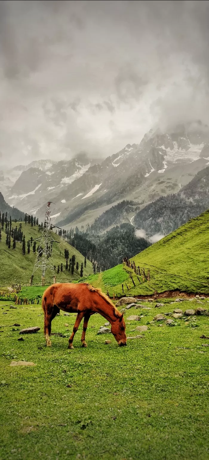 Photo of Kashmir By Harsha Chandu